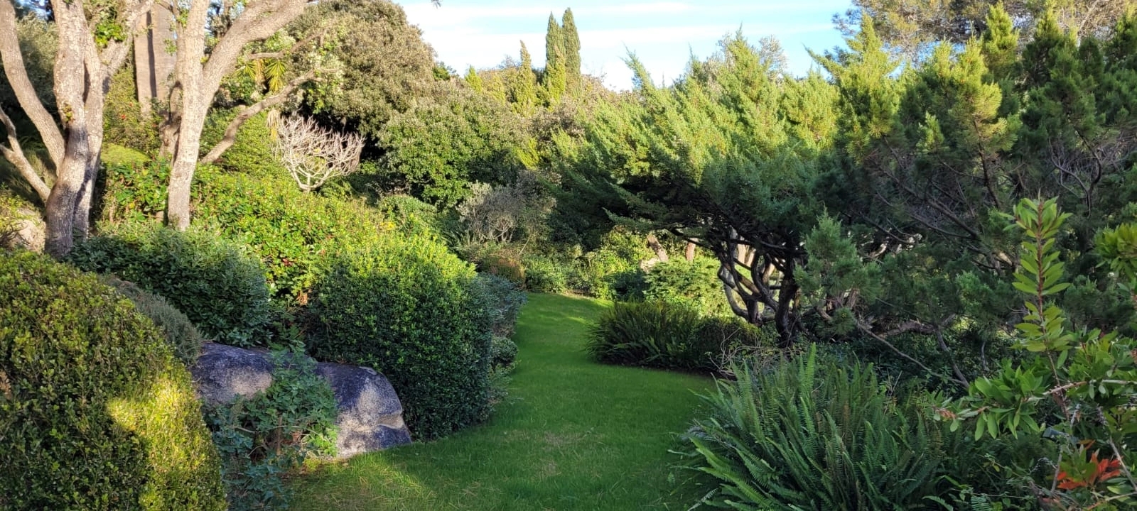 Entretien de jardin et d’espace vert en Corse-du-Sud