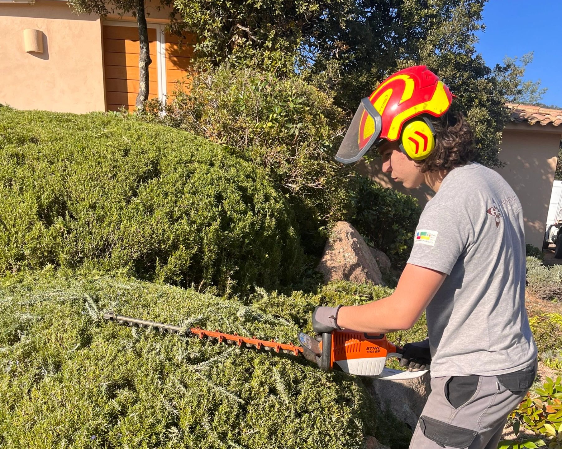 Les jeunes pousses de notre équipe de jardiniers professionnels en Corse-du-Sud
